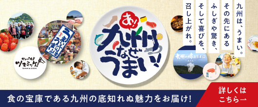 啊!九州为您呈现美食宝库九州的无穷魅力!了解更多信息